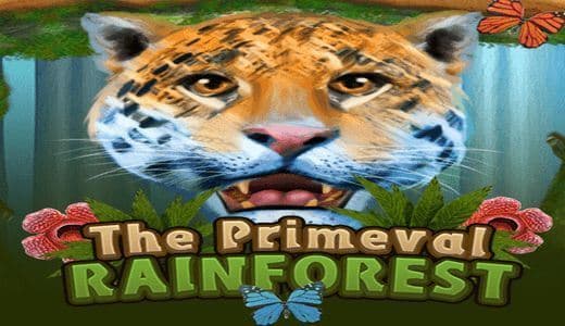 PrimevalRainforestKA